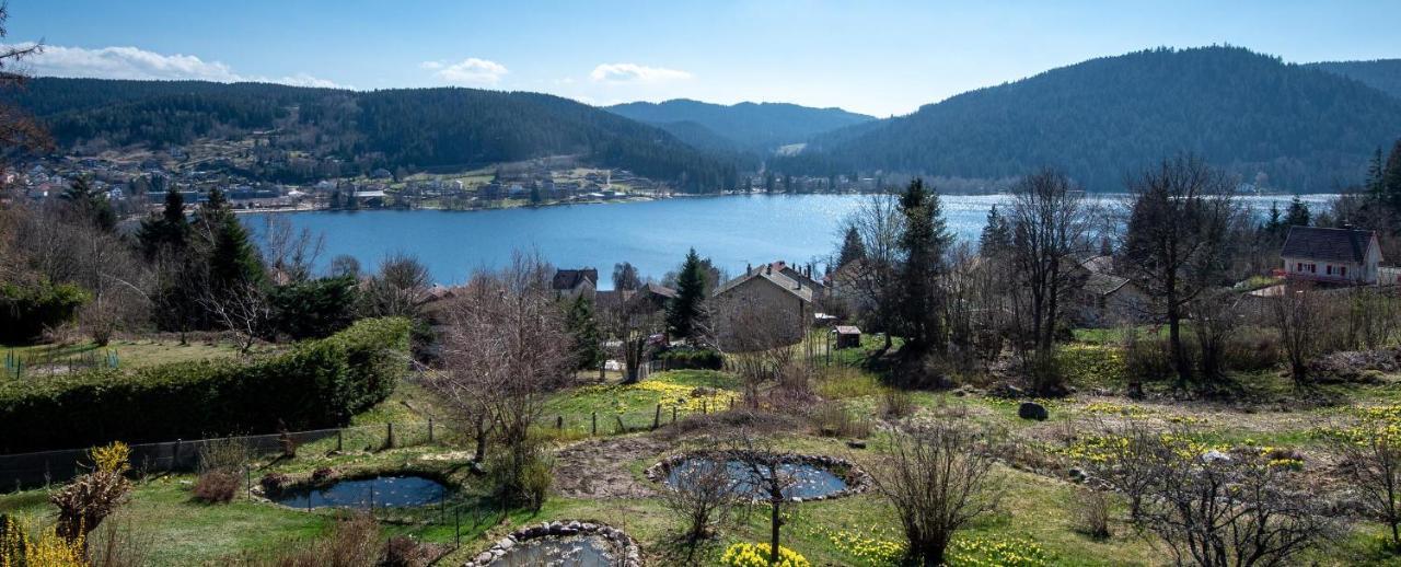 Moho Mountain Home Gérardmer Zewnętrze zdjęcie